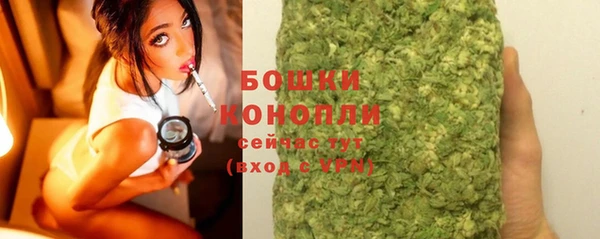 индика Каменск-Шахтинский