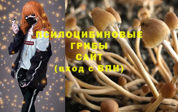 индика Каменск-Шахтинский