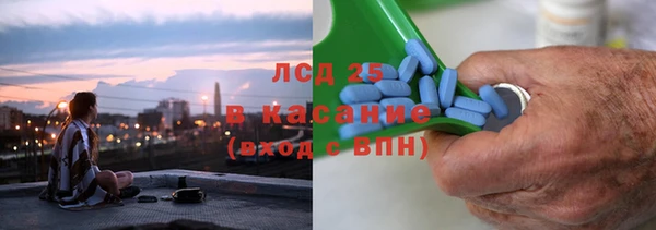 прущие грибы Каменка