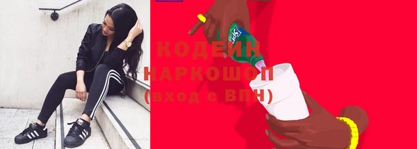 прущие грибы Каменка