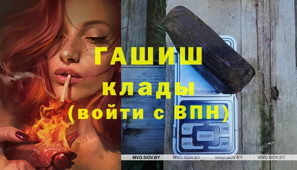 индика Каменск-Шахтинский