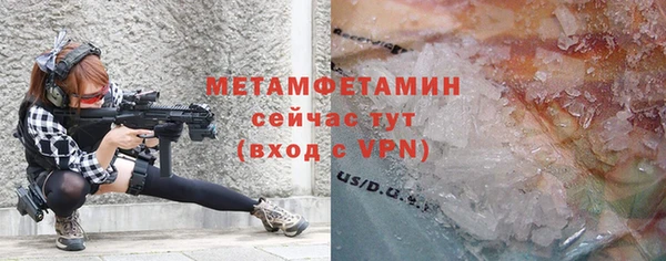 прущие грибы Каменка