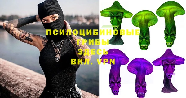 индика Каменск-Шахтинский