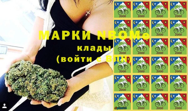 прущие грибы Каменка