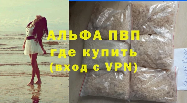 прущие грибы Каменка