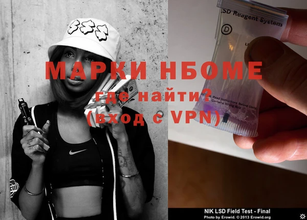 прущие грибы Каменка