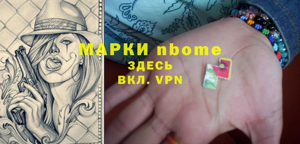 прущие грибы Каменка