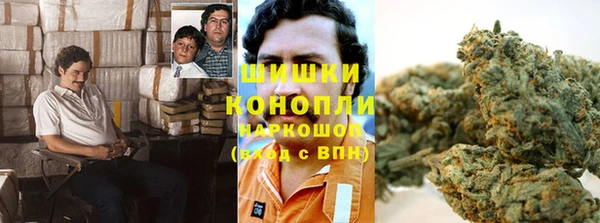 прущие грибы Каменка