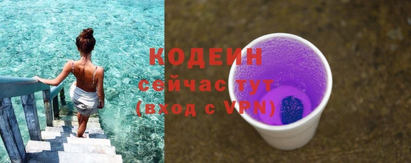 индика Каменск-Шахтинский