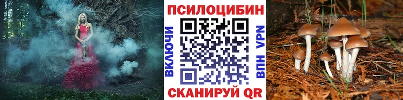 Купить где  Южа  Галлюциногенные грибы MAGIC MUSHROOMS 