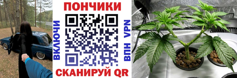Купить закладки  Южа  Конопля SATIVA & INDICA 